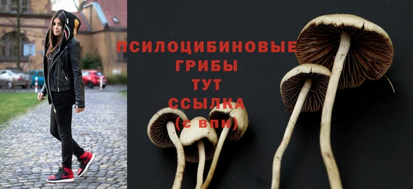 ГАЛЛЮЦИНОГЕННЫЕ ГРИБЫ Горняк