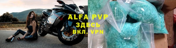 ГАЛЛЮЦИНОГЕННЫЕ ГРИБЫ Горняк