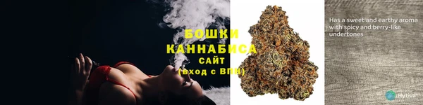 ГАЛЛЮЦИНОГЕННЫЕ ГРИБЫ Горняк