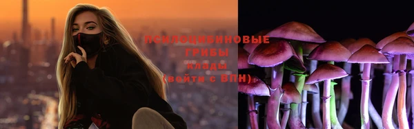дурь Горнозаводск