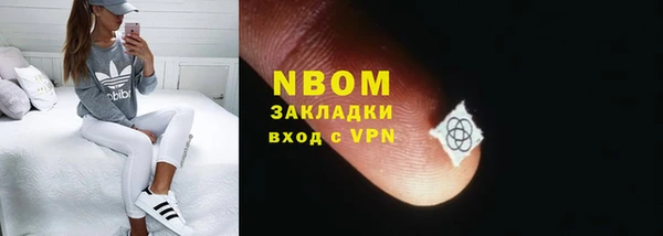ГАЛЛЮЦИНОГЕННЫЕ ГРИБЫ Горняк