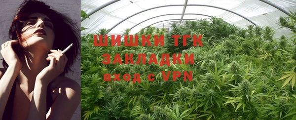 ГАЛЛЮЦИНОГЕННЫЕ ГРИБЫ Горняк