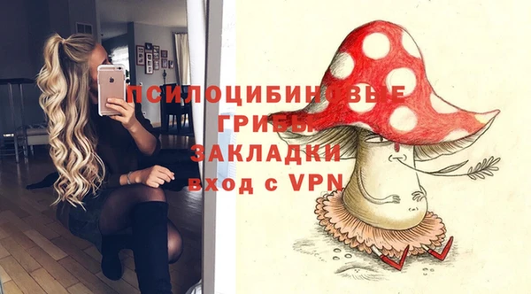 дурь Горнозаводск