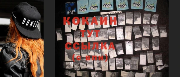 ГАЛЛЮЦИНОГЕННЫЕ ГРИБЫ Горняк