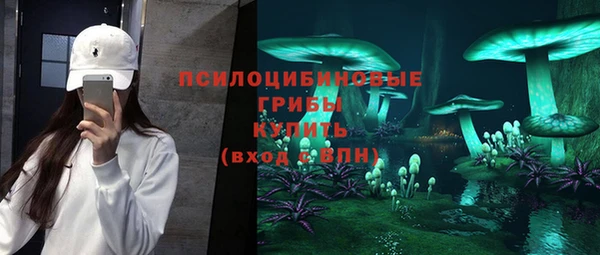 ГАЛЛЮЦИНОГЕННЫЕ ГРИБЫ Горняк